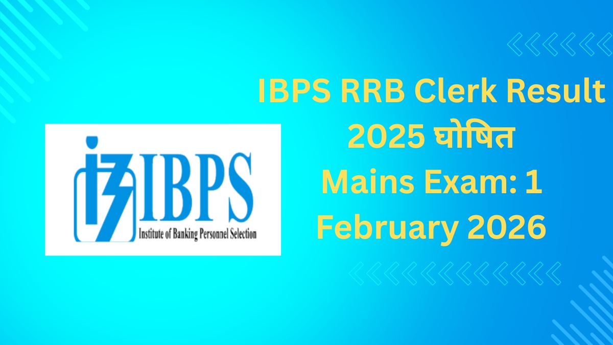 IBPS RRB Clerk Prelims Result 2025