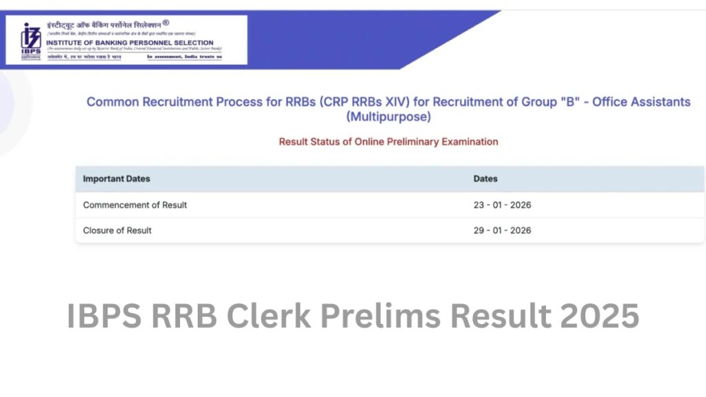 IBPS RRB Clerk Prelims Result 2025